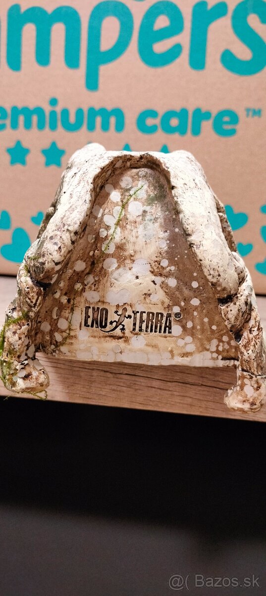 Dekorácia akvárium terárium T Rex - 2