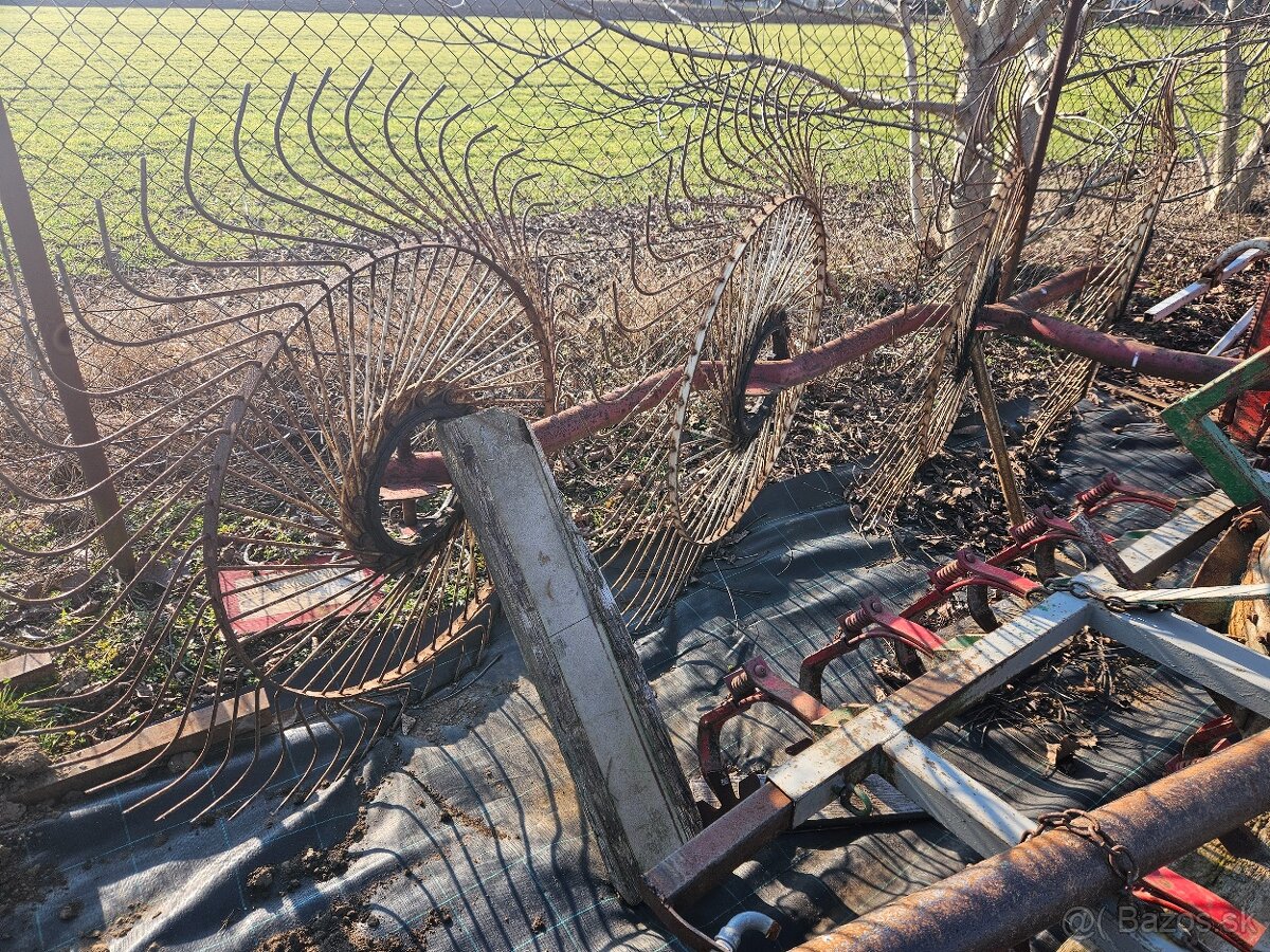 Slniečková hrabačka - 2