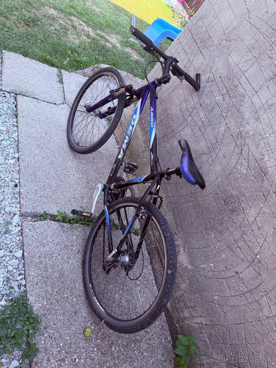 Pánsky bicykel dema - 2