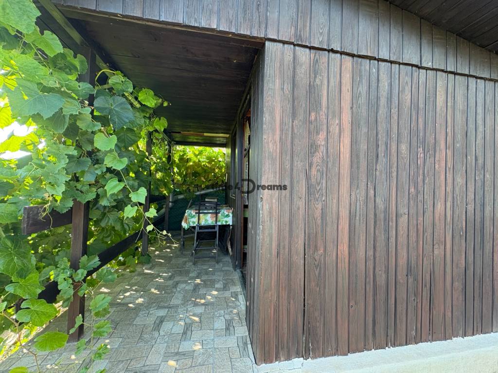 Na predaj: Ovocná záhrada v Leviciach - 2