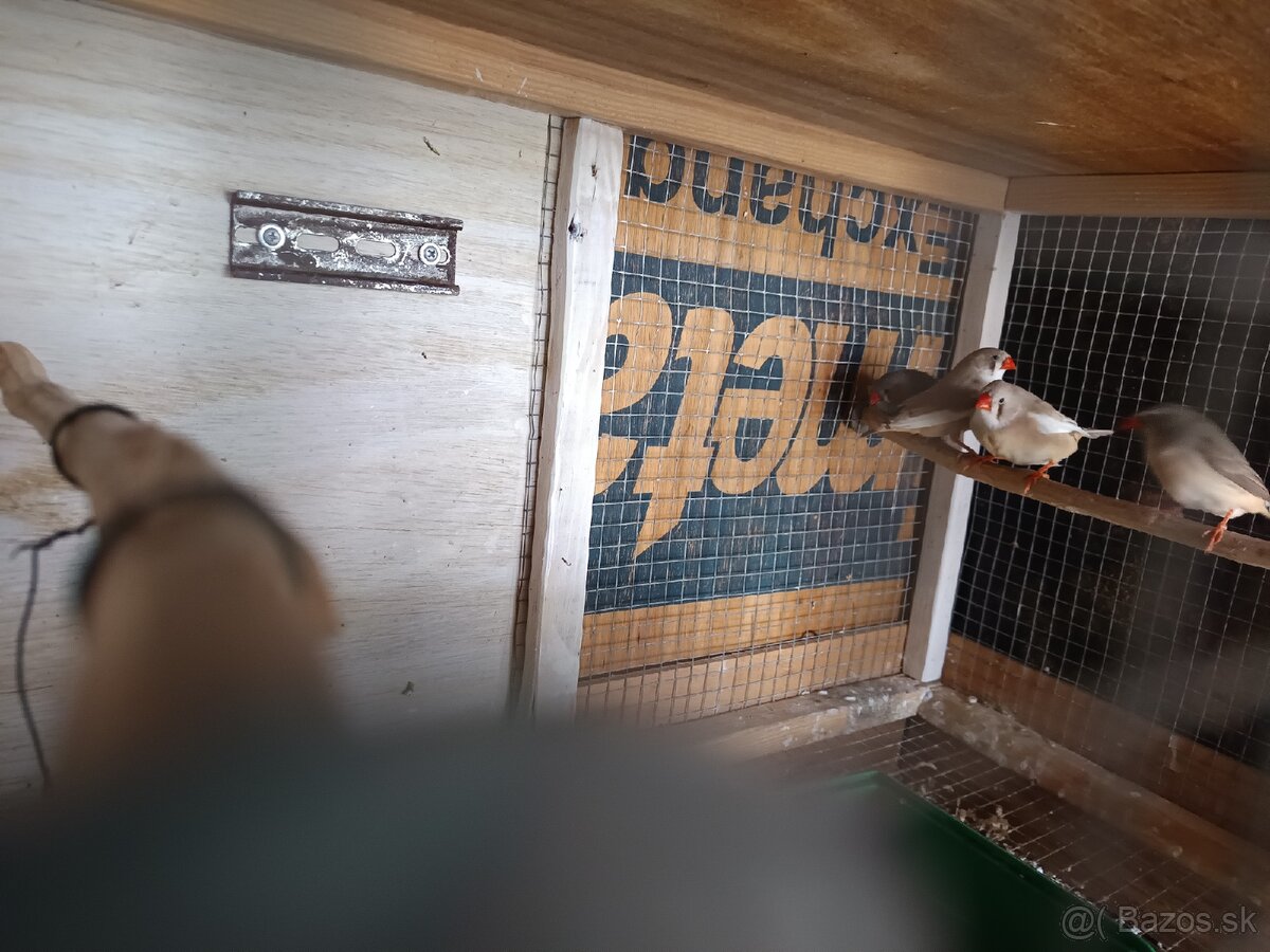 Predám zebričky - 2