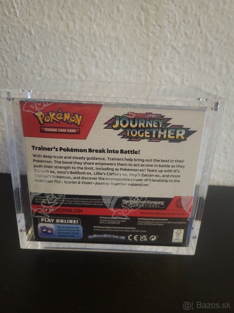 Pokémon-JOURNEY TOGETHER - 2