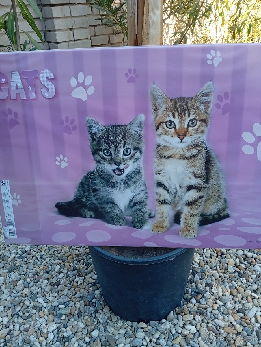 Podložka na stôl pre deti - 2