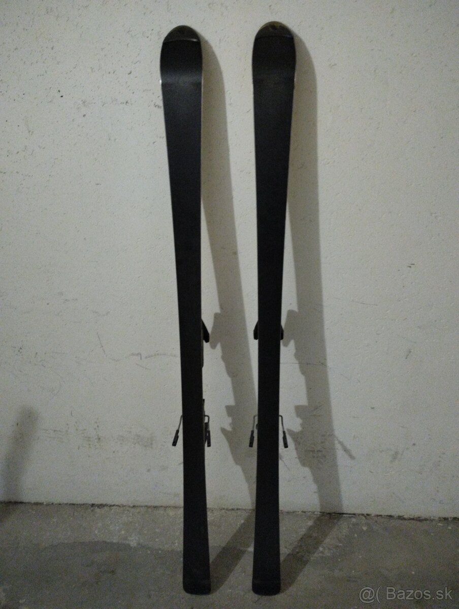 Lyže DYNAMIC + palice - 2