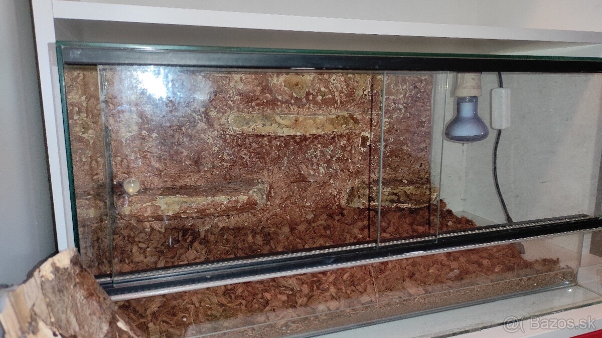 Terarium 60x40x30 - 2