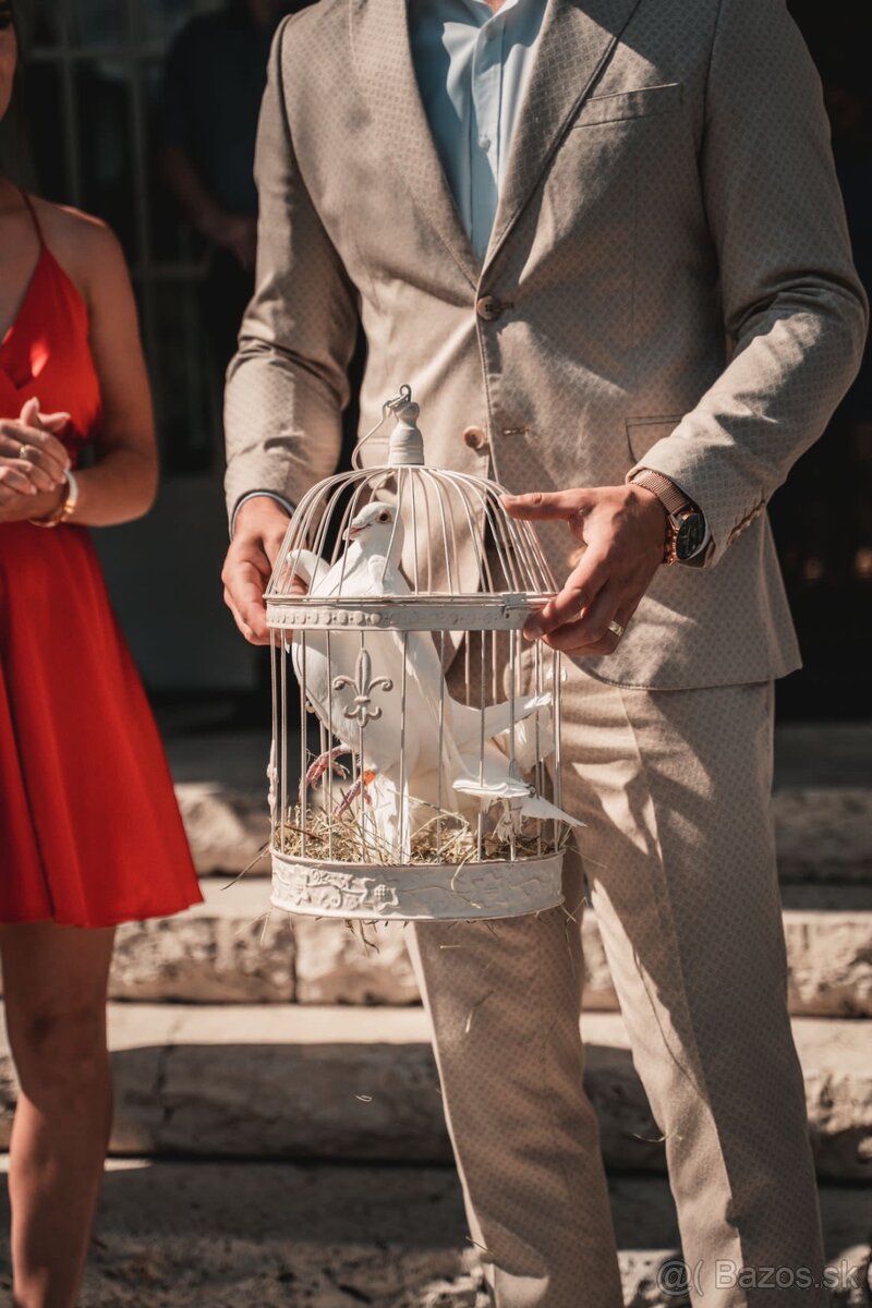 Biele poštové holuby - 2