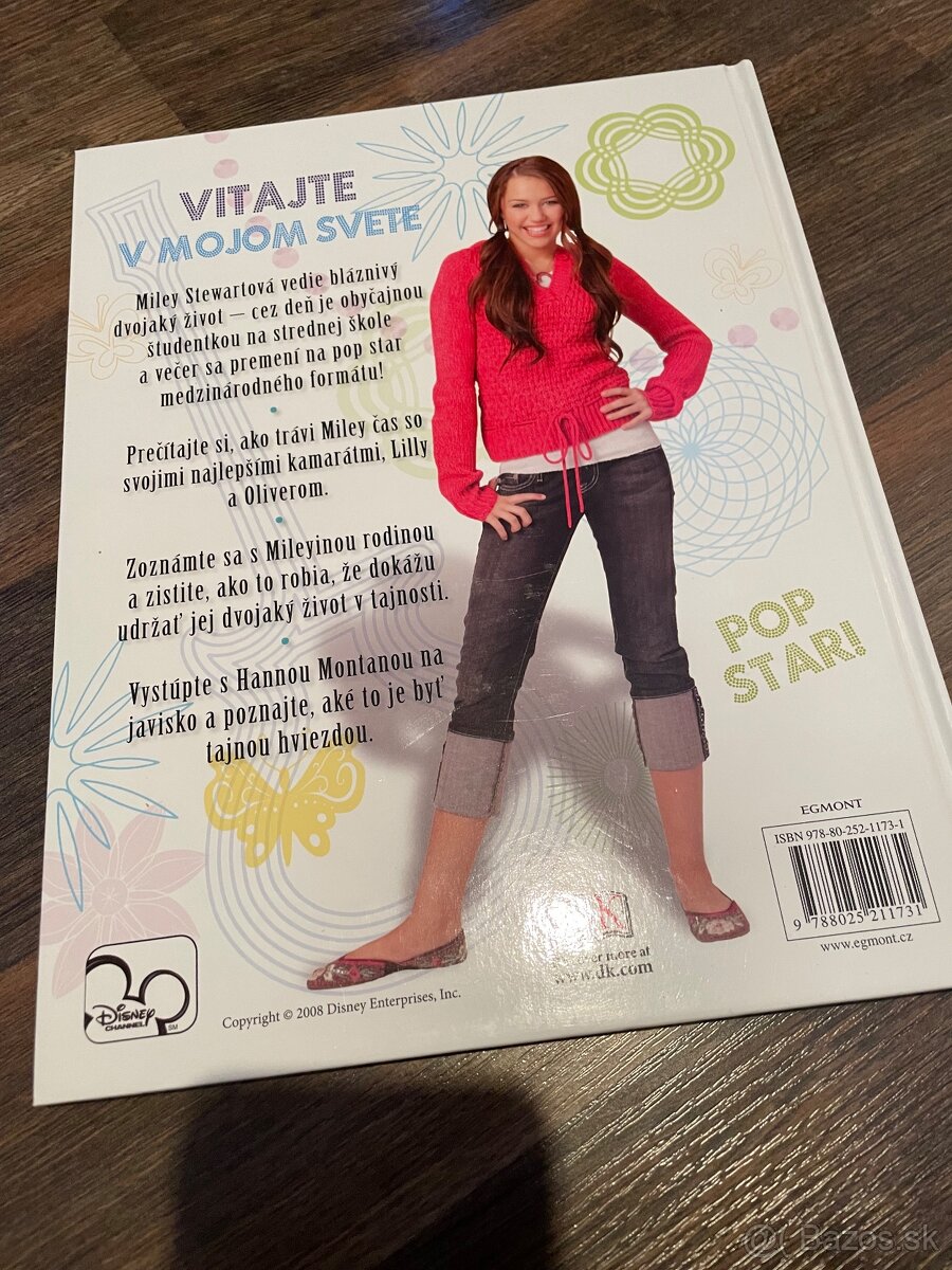 Hannah Montana- obrazkovy slovnik - 2
