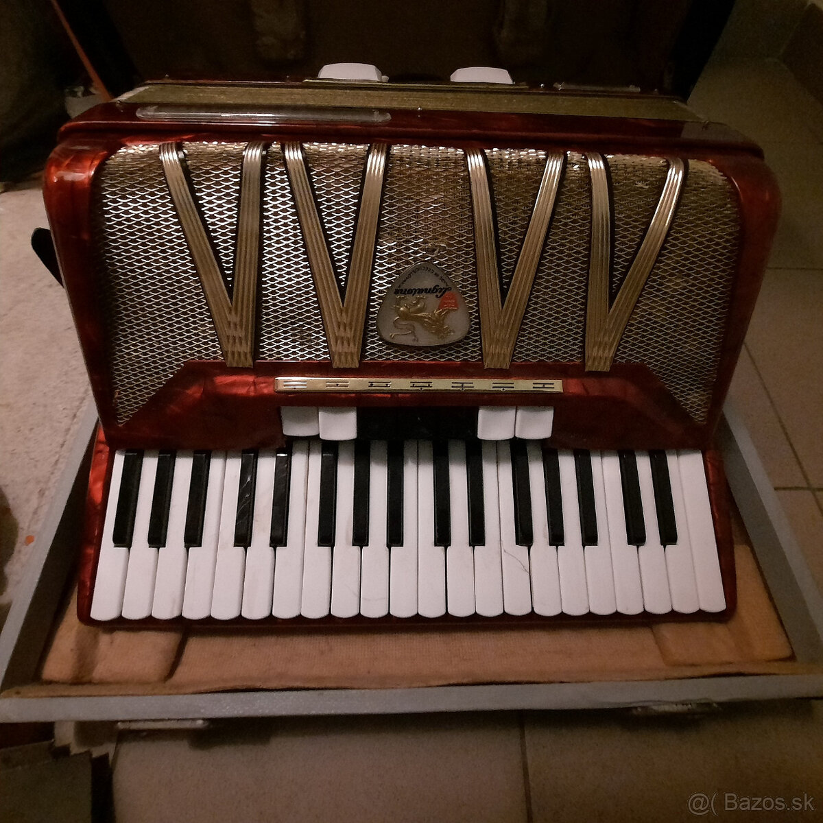 akordeón DELICIA - 2