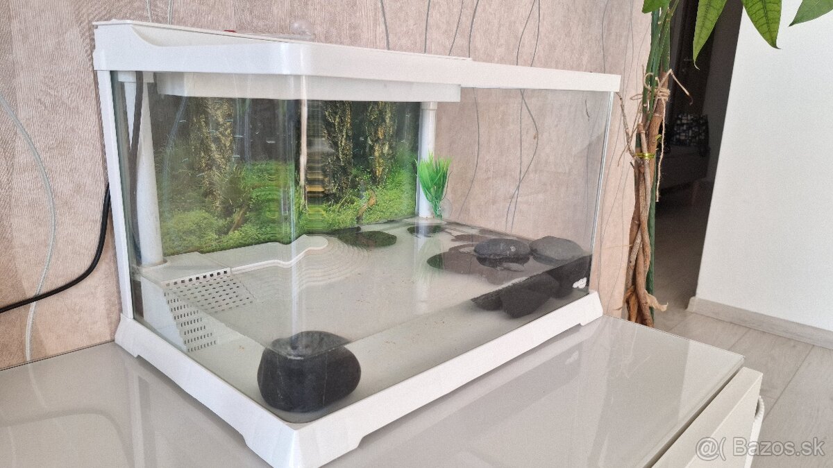 Korytnačky a akvárium - 2