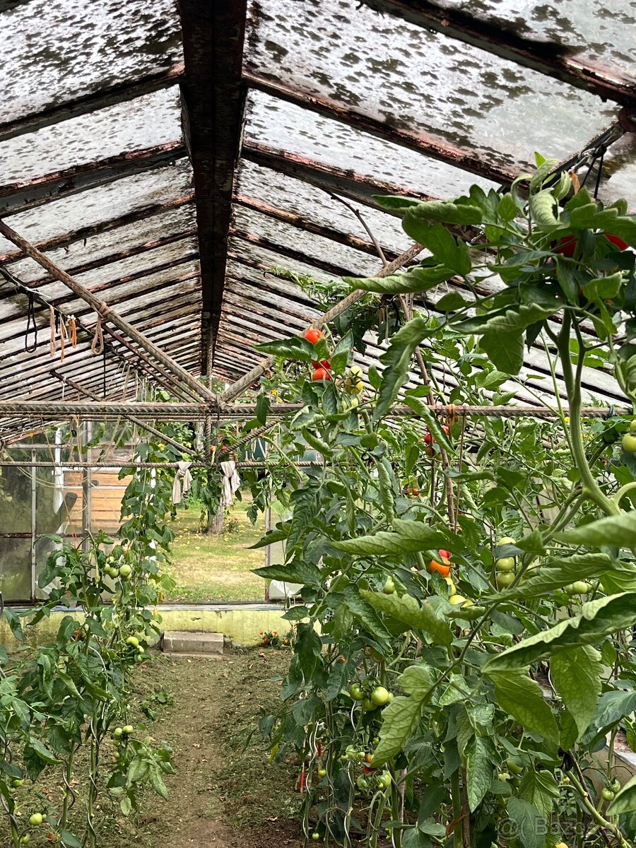 Predám skleník 11x4x2 bm. - 2