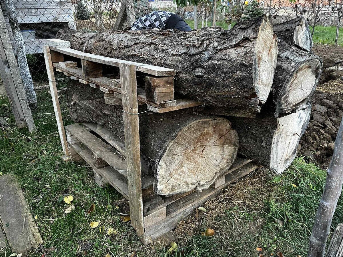 Čerešňové drevo - 2