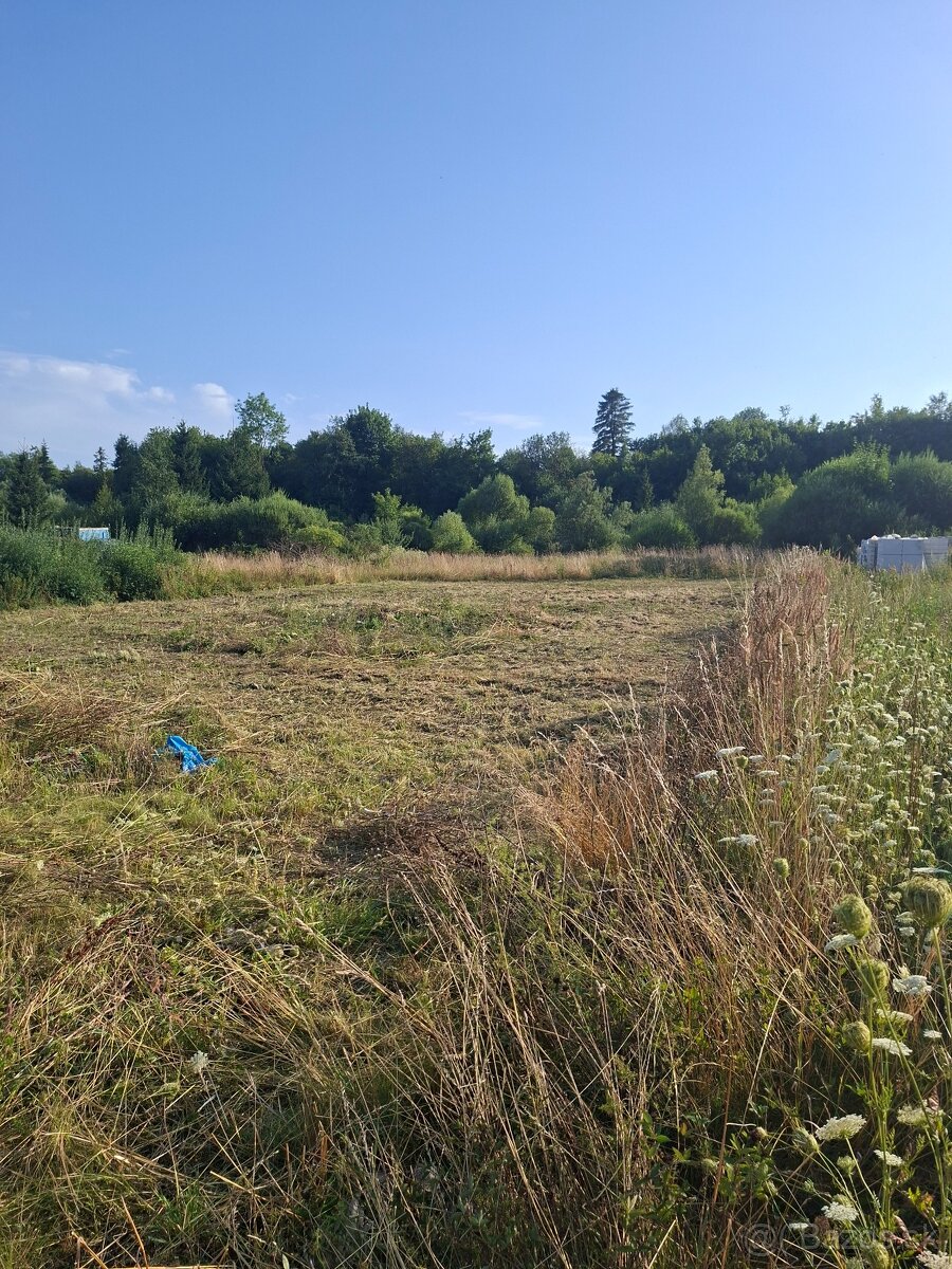Mulčovanie trávy a pozemkov - 2