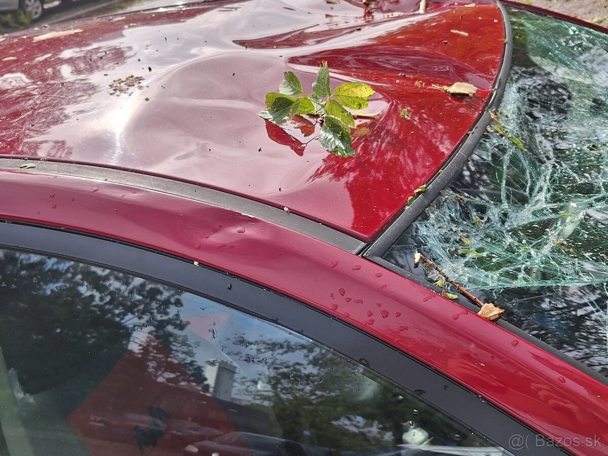 KIA Ceed, poskodena konarmi - 2