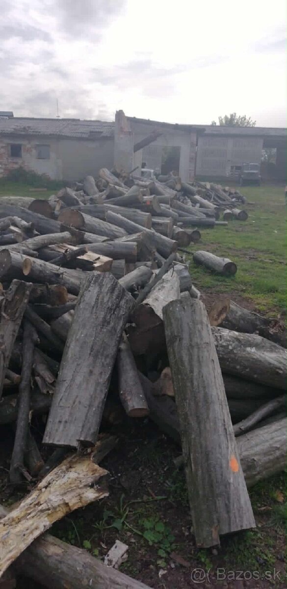 Palivové drevo - 2