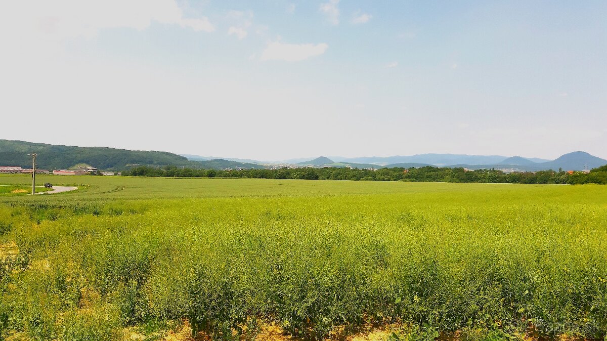 INVESTIČNÉ POZEMKY V ZÁBORSKOM - 2
