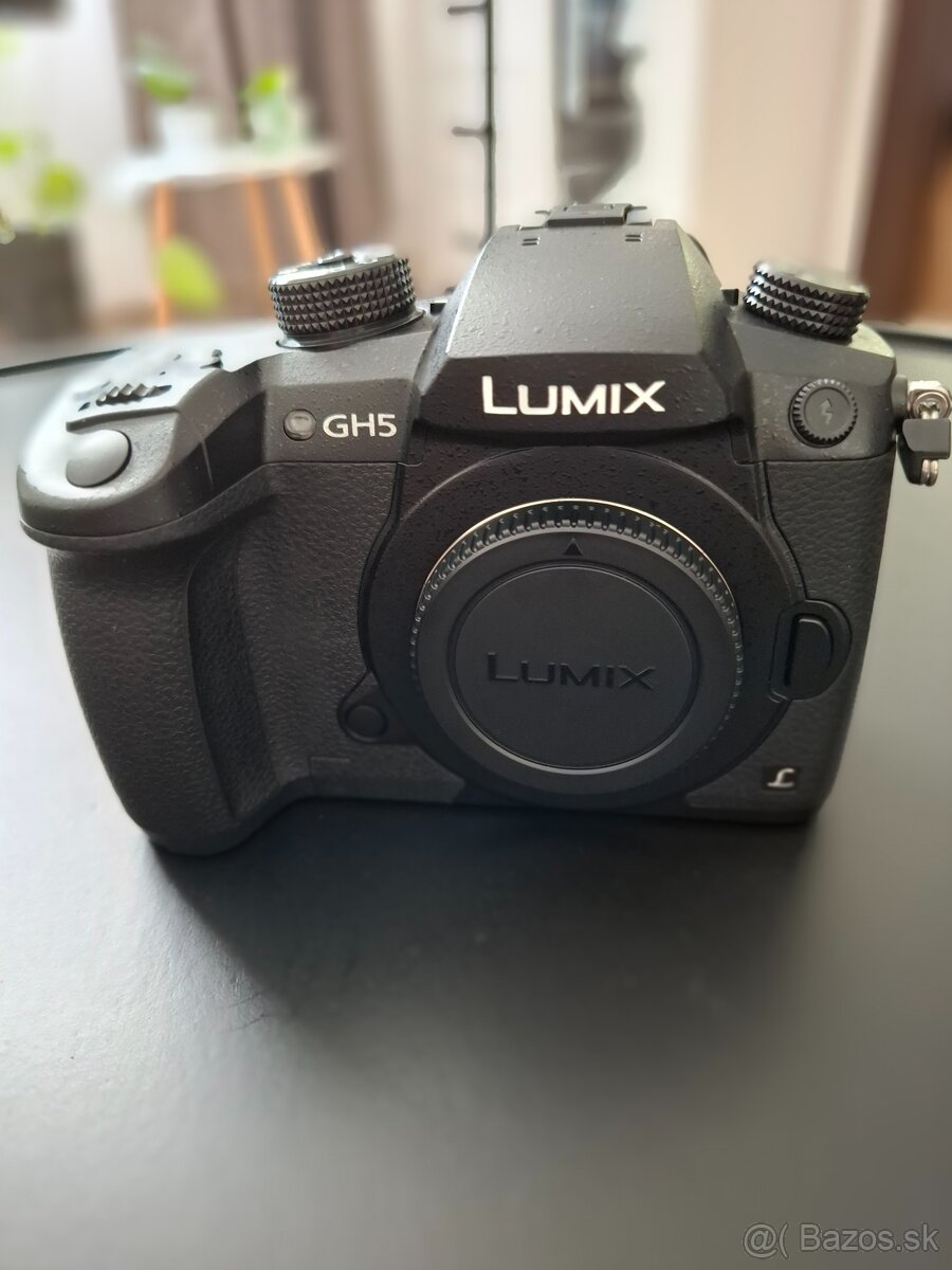 Panasonic Lumix GH5 - 2