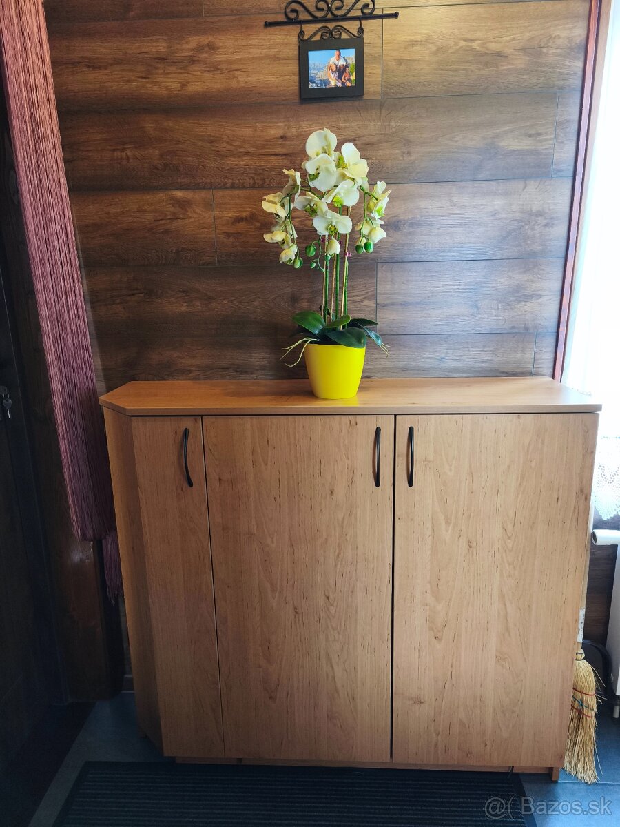 Predsieňová zostava - 2