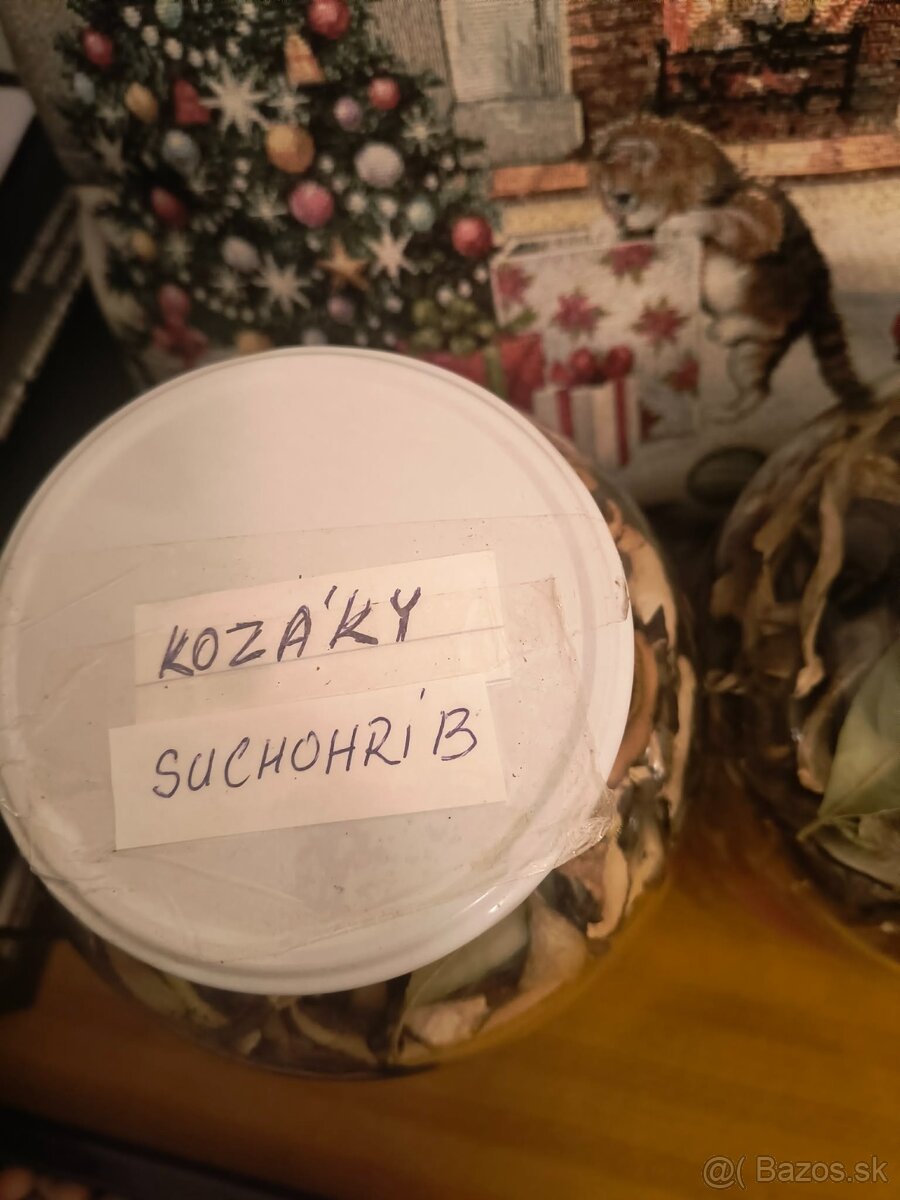Sušené hríby - 2