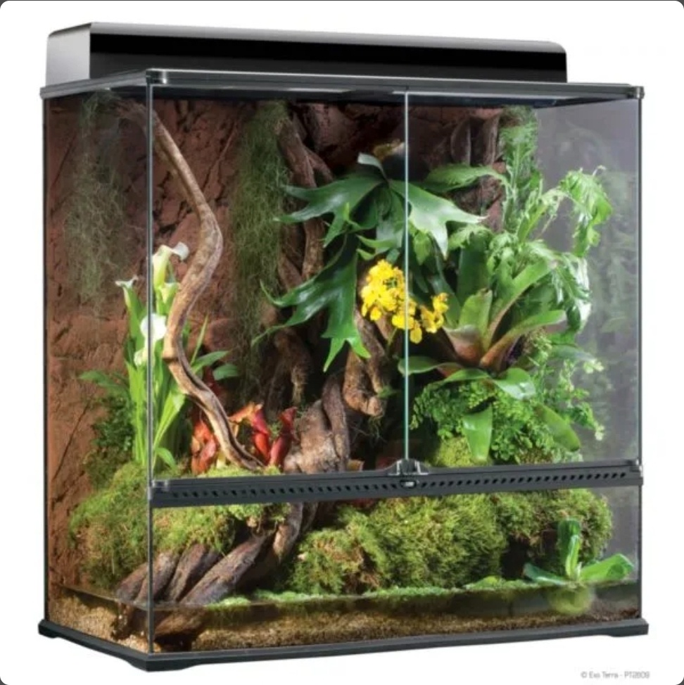 Terarium s osvetlením - 2