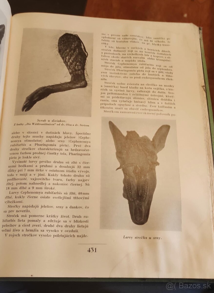 Naše Poľovníctvo 1935 vydanie - 2