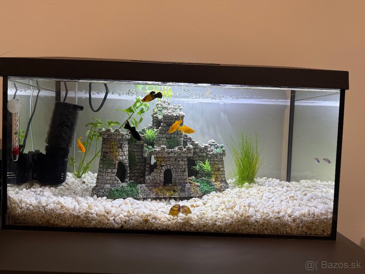 Predám komplet akvárium - 2