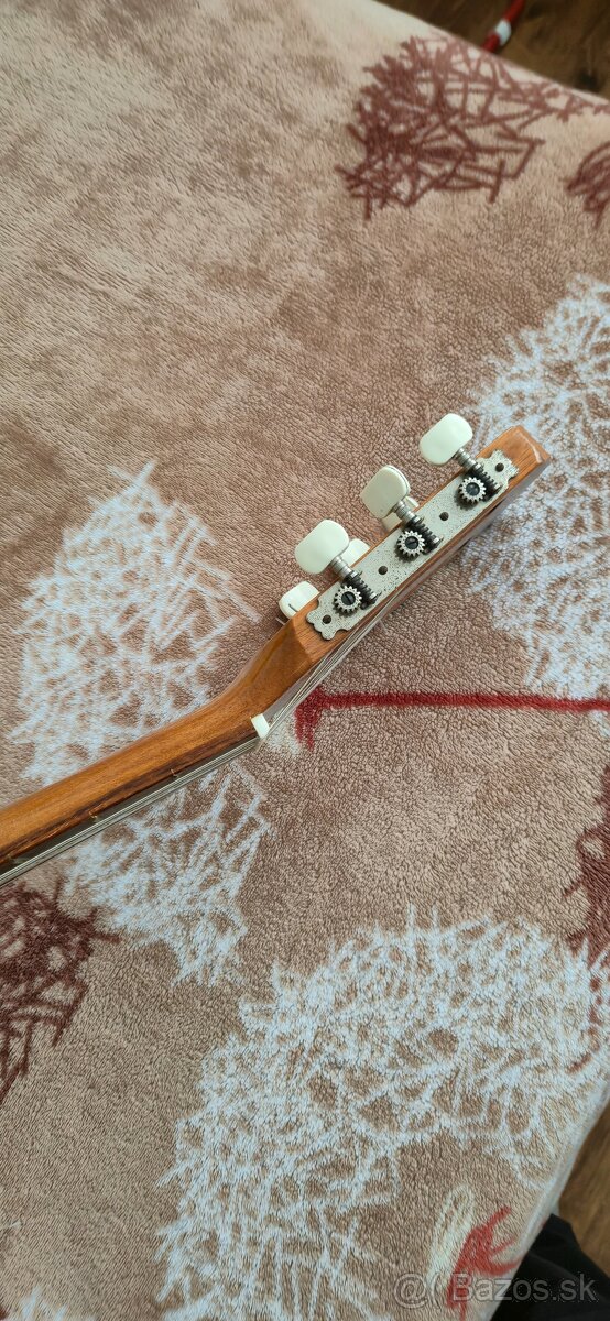 Gitara Španielka - 2