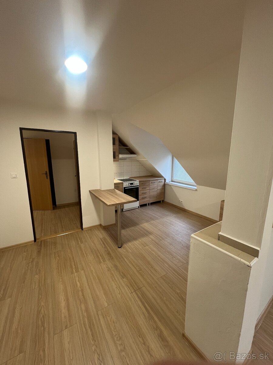 Priestranný dvojizbový byt 70,1 m2 - 2