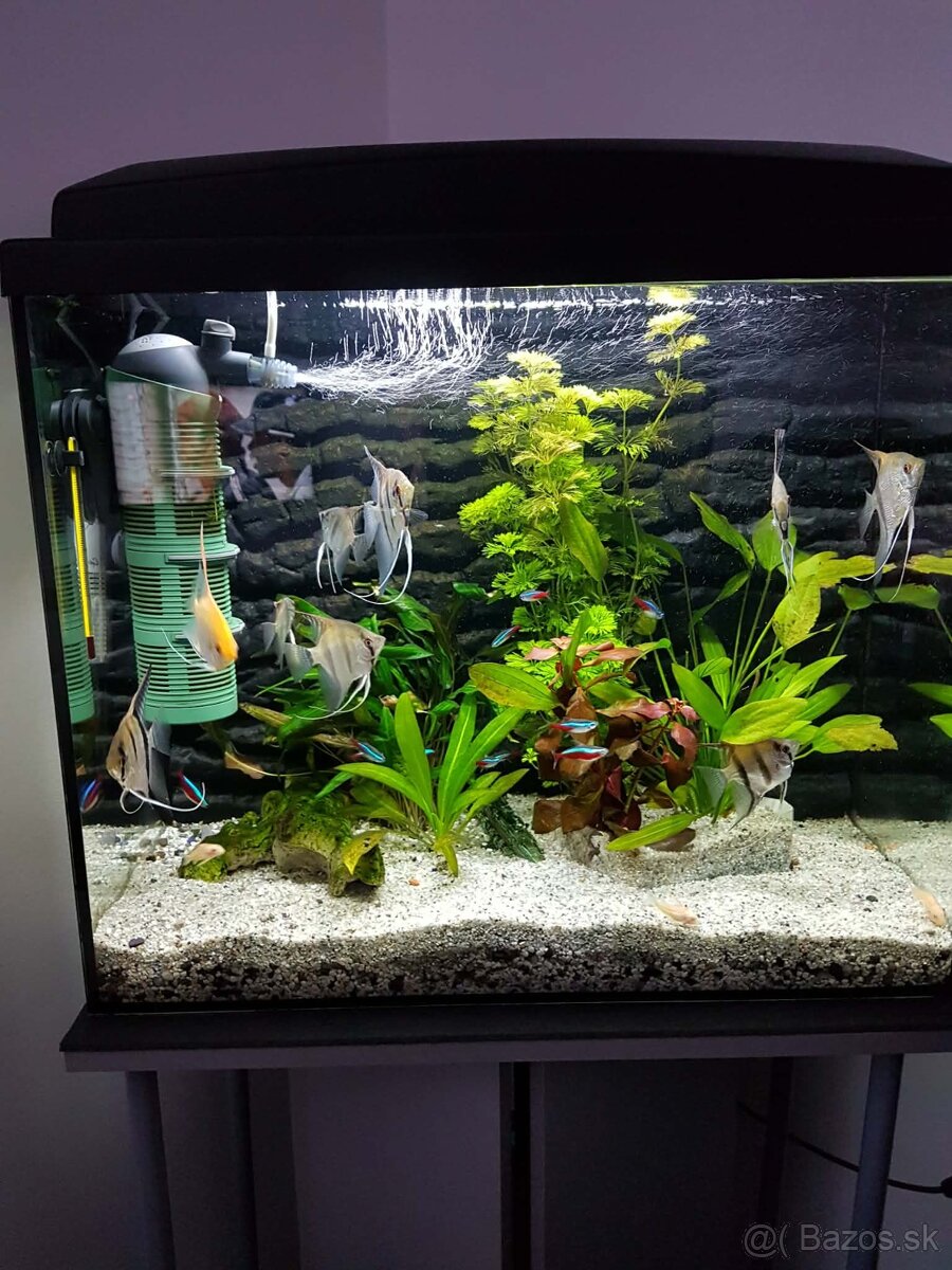 Akvárium 90l - 2