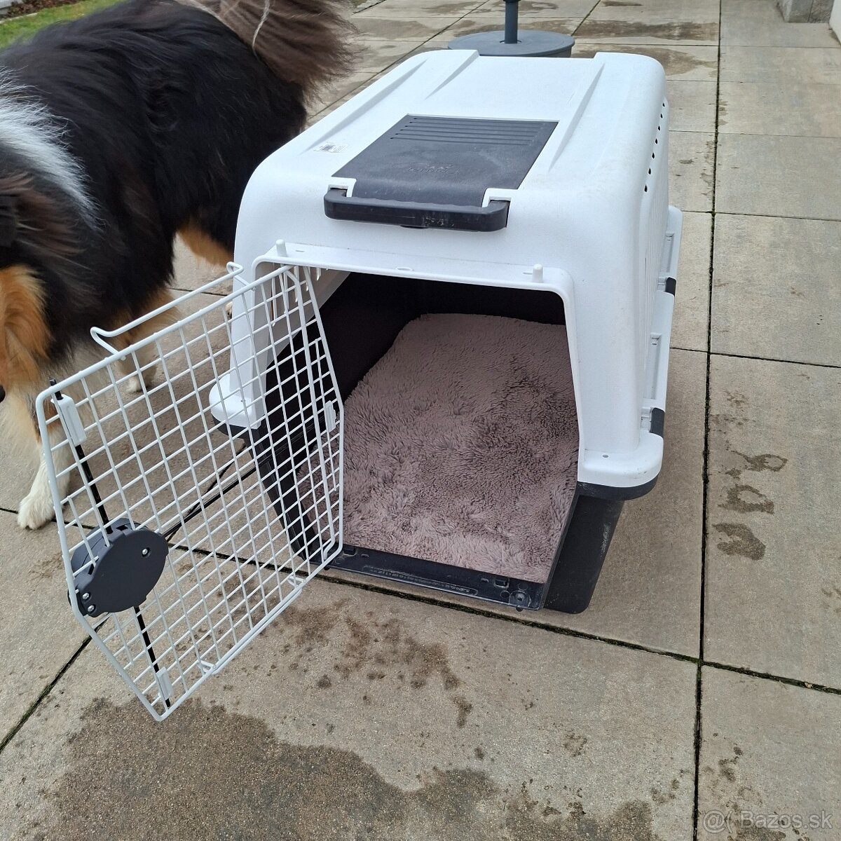 Prepravka pre psa do auta. - 2