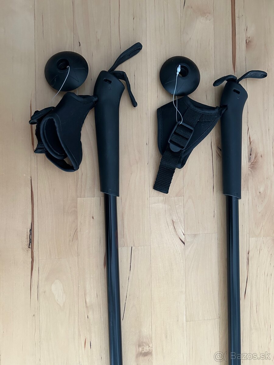 Turisticke palice - 2