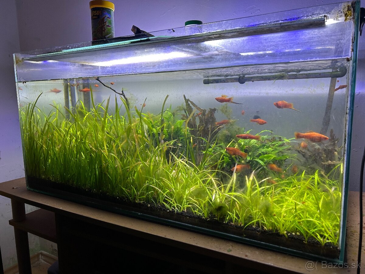 Predám akvárium 150L s komplet vybavením - 2
