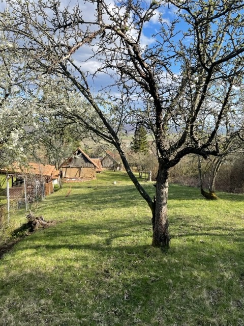 Investuj do vlastného pozemku- Štiavnické vrchy - 2