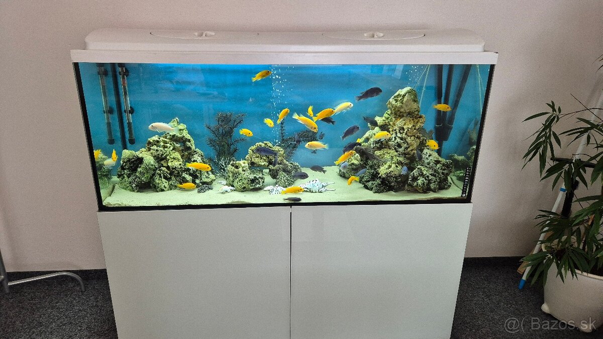 450l akvárium - 2