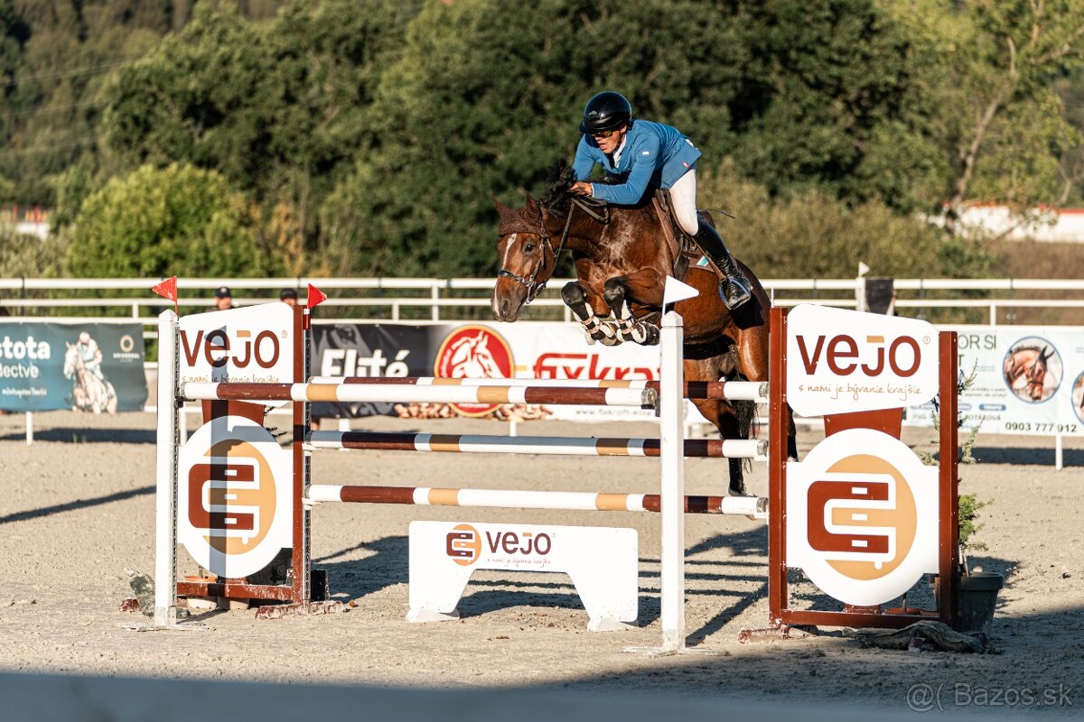 8 ročna Top Kobyla do športu - 2