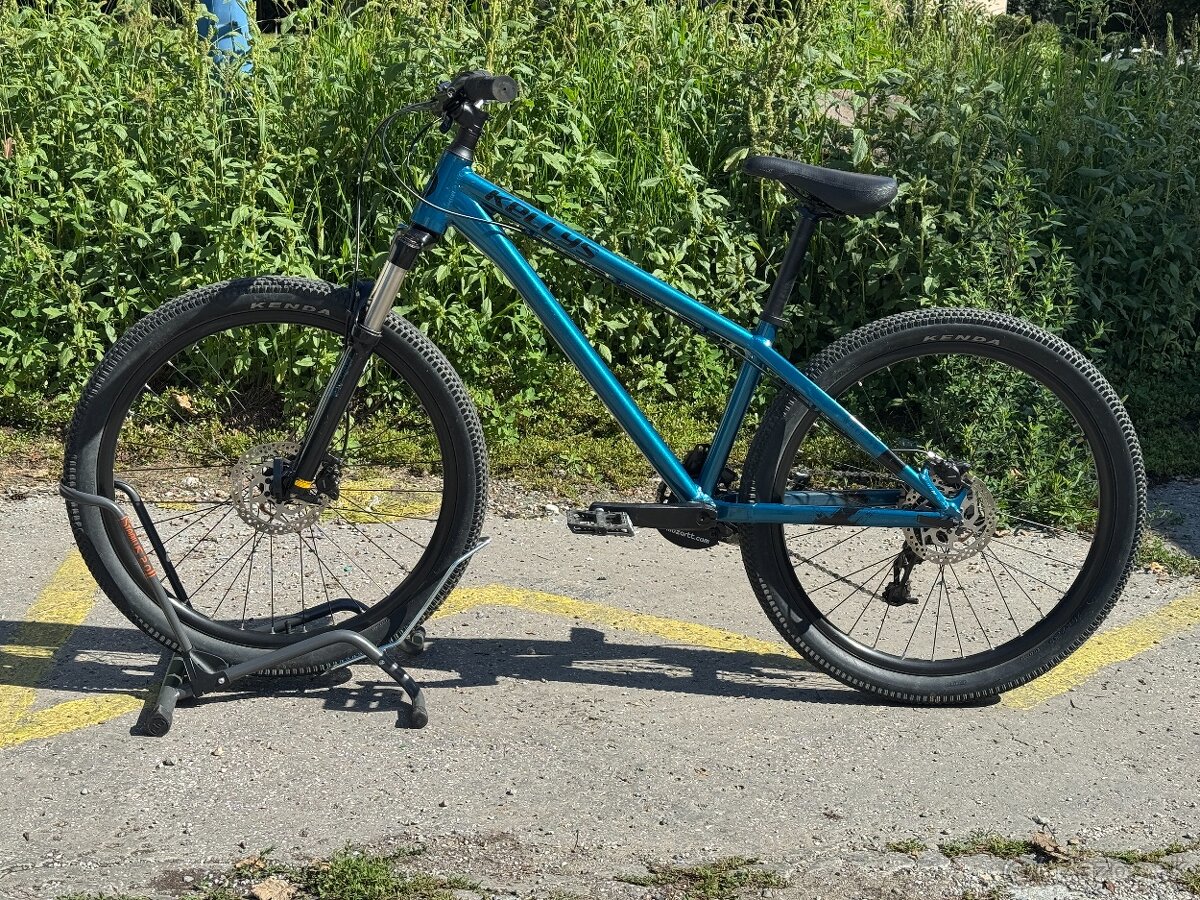 Dirt bike Kellys Whip 50 - 2