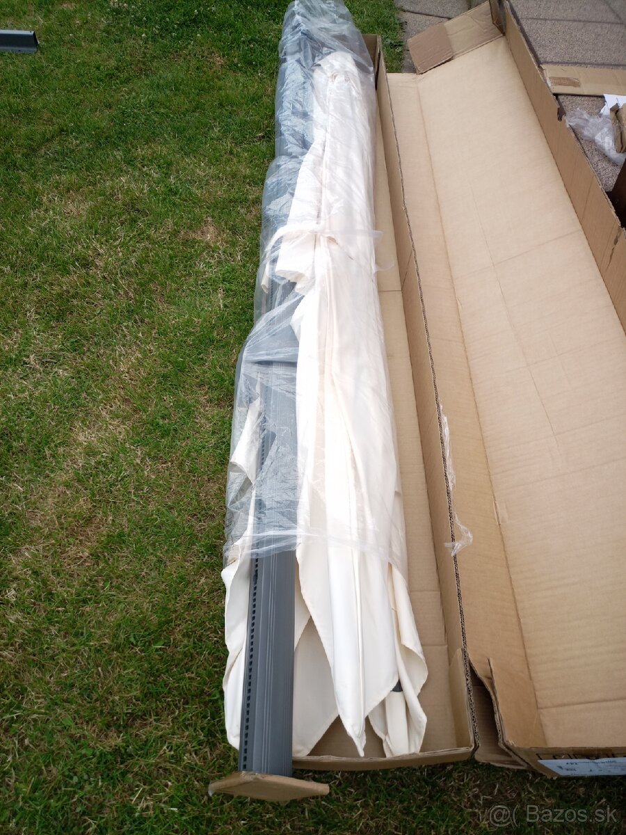 Slnečník Salvador - 2