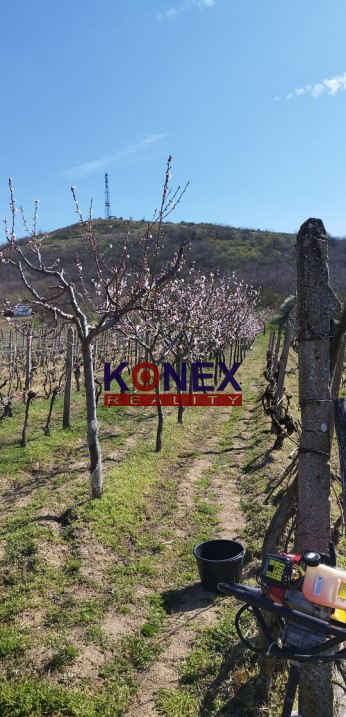 NA PREDAJ – Vinica – Malý Kamenec - 2