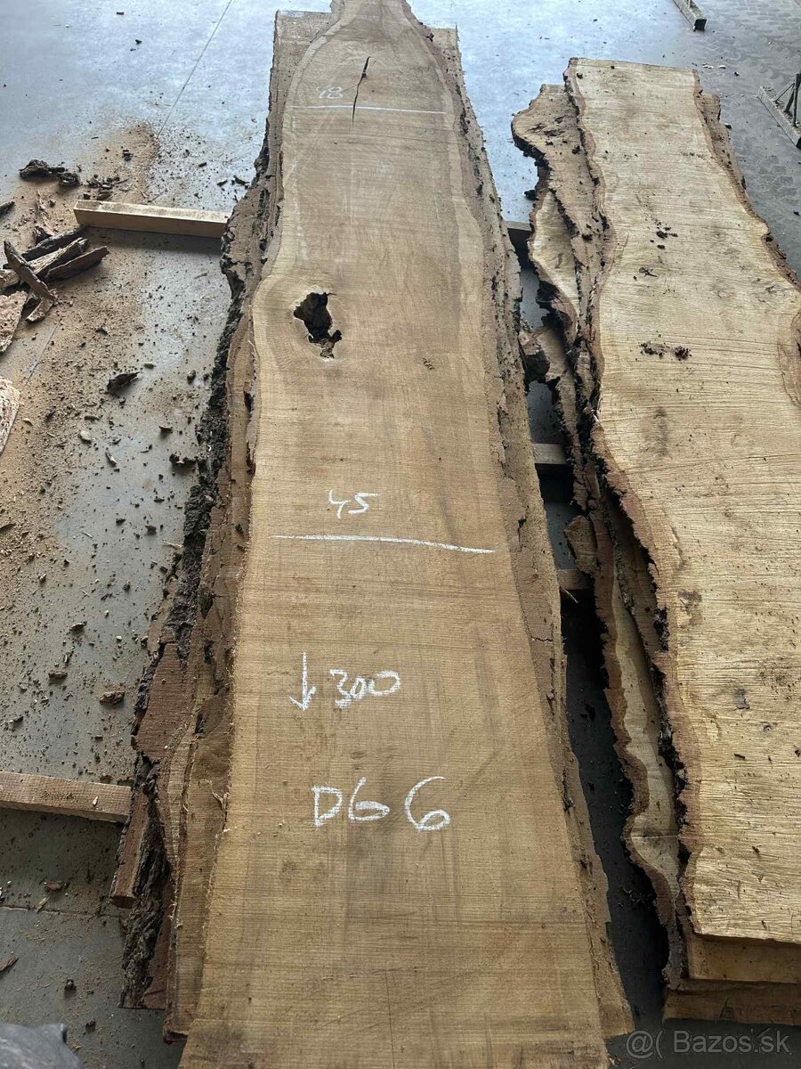 dubové fošne, dub letný, dub - 2