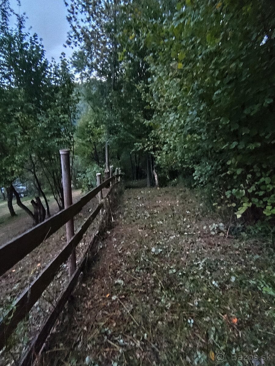 Čistenie a mulčovanie pozemkov, odstraňovanie náletov - 2