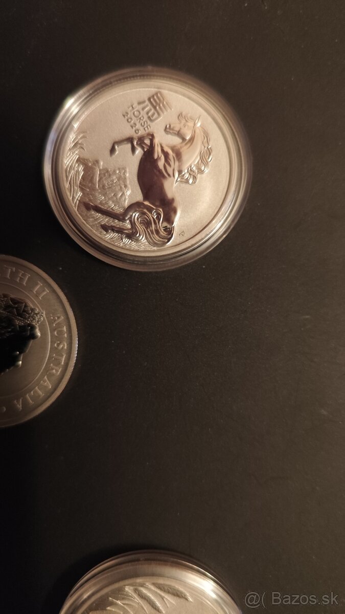 Investičná platina - 2