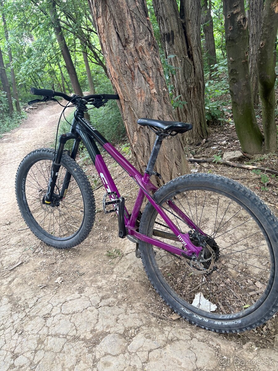 Ctm Raptor 1.0 2022 - 2