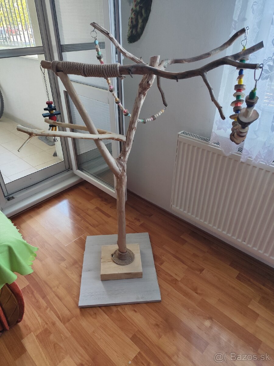 Strom pre papagaje - 2