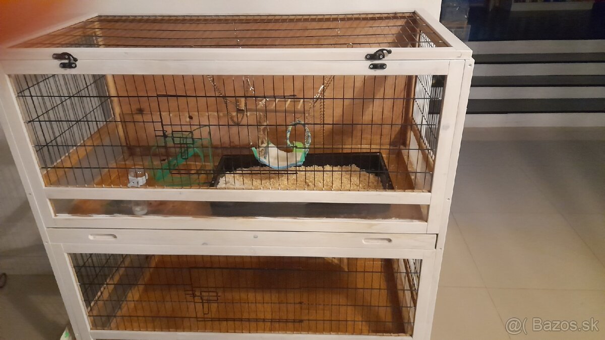 Zajac maznáčik - 2