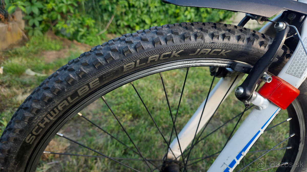 ORBEA MX 24 TEAM - 2