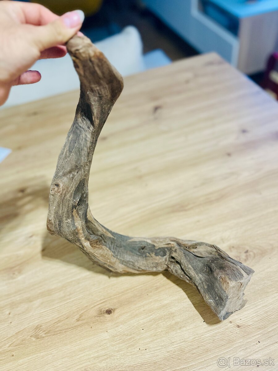 Koren do akvaria - 2