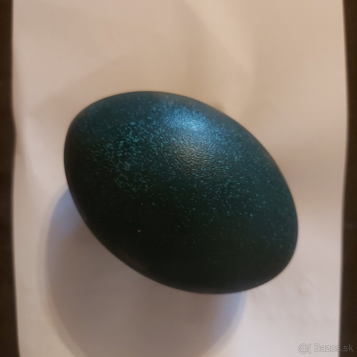 Predám vajíčka pštrosa EMU - 2