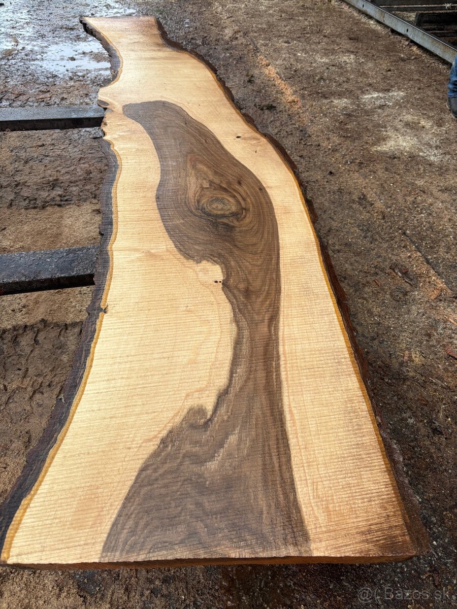 Rezivo Orech Orechové Fošne - 2