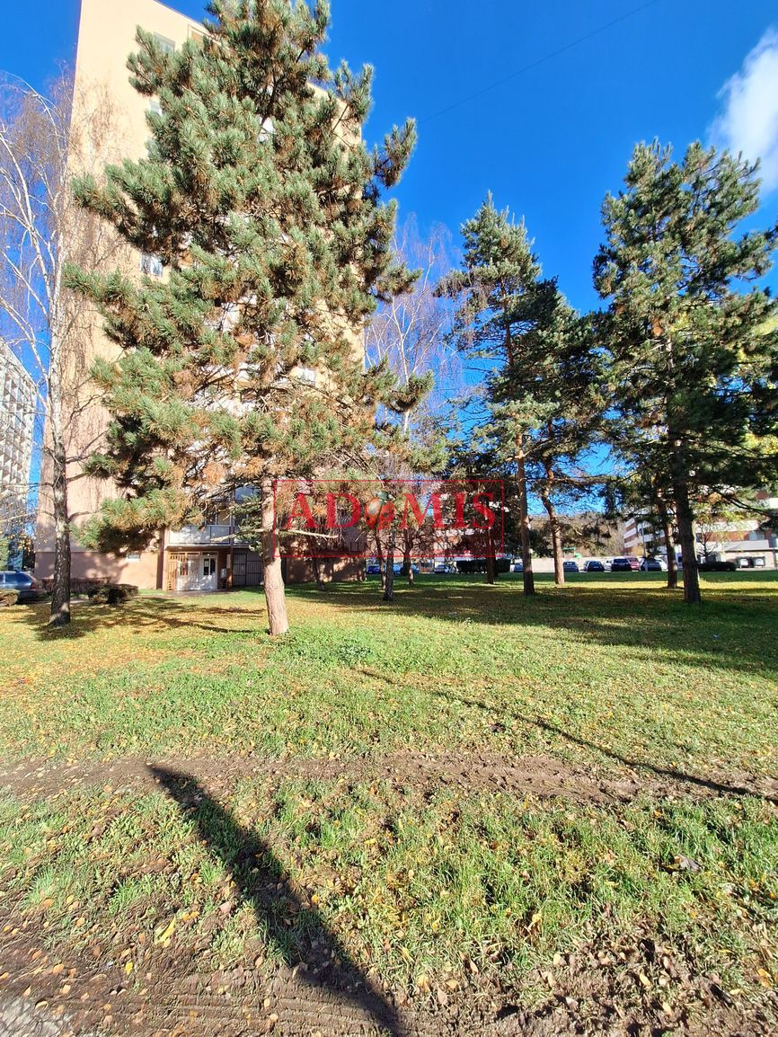 ADOMIS - predám 3izbový byt Stálicová ul., loggia 2x, Košice - 2