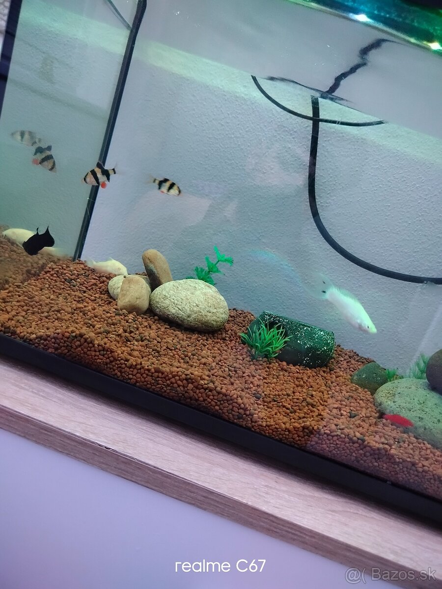 Predám Akvárium 60l - 2