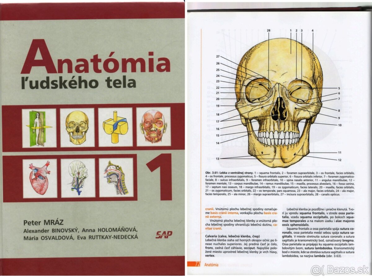 ANATÓMIA - knihy v PDF - 2
